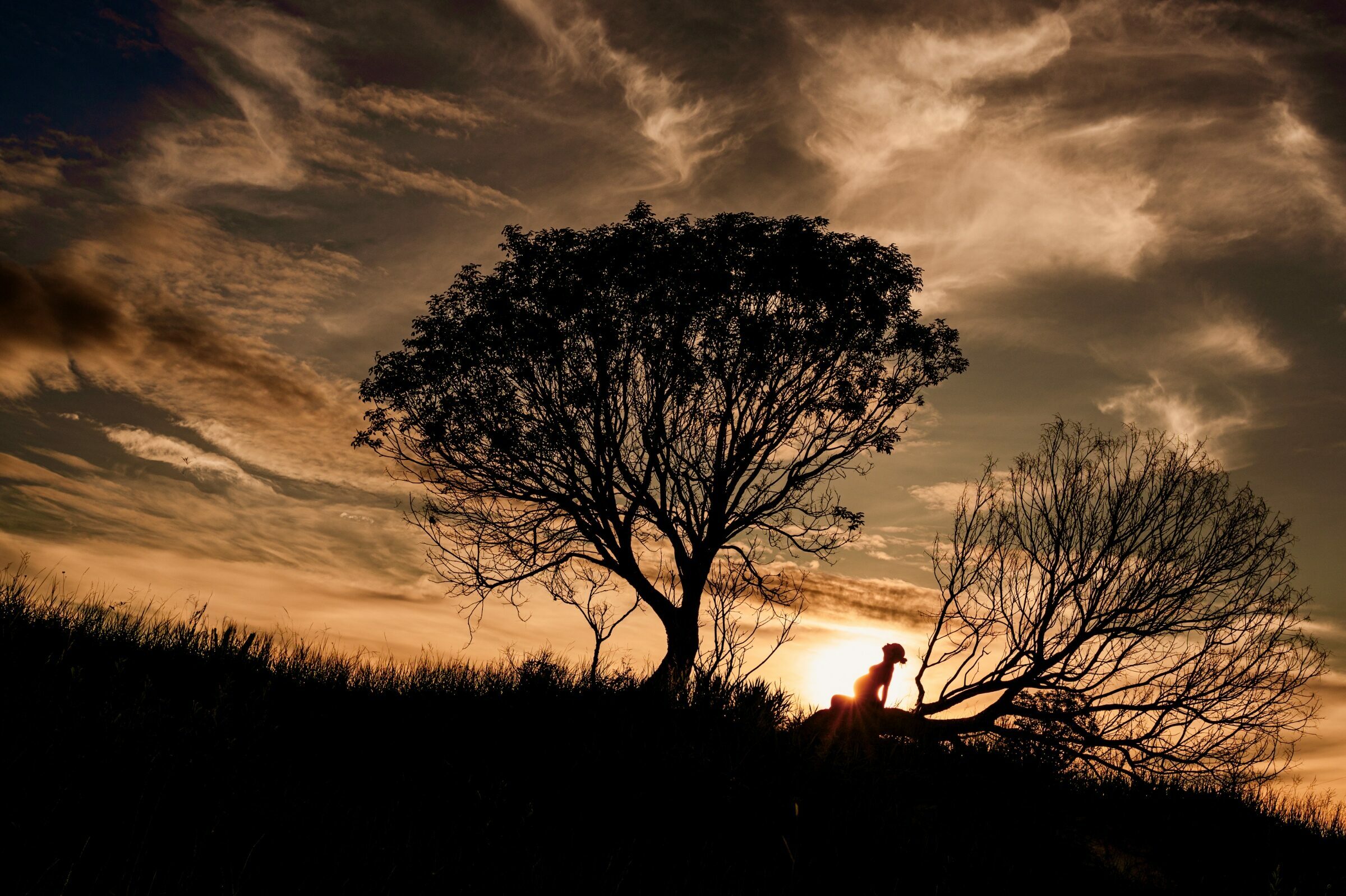 Foto de Gil Monteiro Fotografia 6