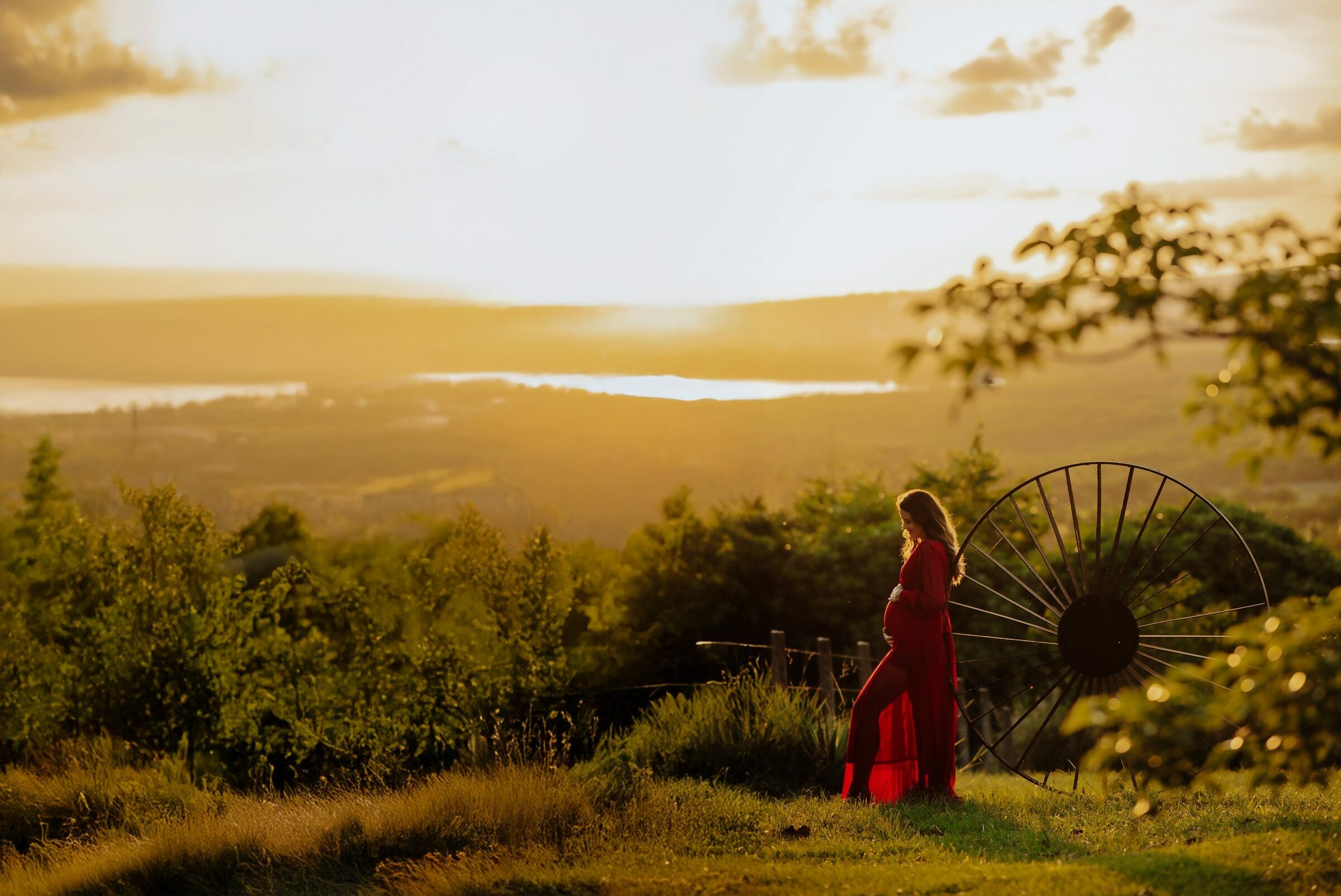 Foto de Gil Monteiro Fotografia 0